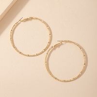 1 Pair Lady Simple Style Round Plating Alloy 14k Gold Plated Hoop Earrings main image 4