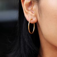 1 Pair Casual Vacation Simple Style Circle Plating 201 Stainless Steel 18K Gold Plated Hoop Earrings main image 6