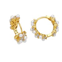 1 Pair Simple Style Irregular Circle Plating Inlay Copper Beads Zircon 18k Gold Plated Earrings main image 3