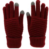 Women's Basic Simple Style Solid Color Gloves 1 Pair sku image 3