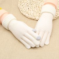 Women's Basic Simple Style Solid Color Gloves 1 Pair sku image 7