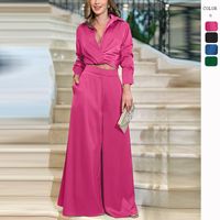 Banquet Party Women's Elegant Solid Color Polyester Pleated Pants Sets Pants Sets main image 1