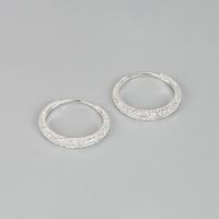1 Pair Ig Style Basic Geometric Plating Sterling Silver Earrings main image 2
