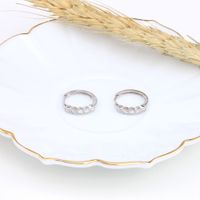1 Pair Simple Style Geometric Inlay Sterling Silver Zircon Earrings main image 2