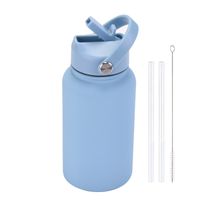 Casual Solid Color Stainless Steel Water Bottles sku image 11