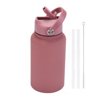 Casual Solid Color Stainless Steel Water Bottles sku image 13