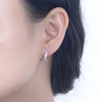 1 Pair Ig Style Round Plating Inlay Sterling Silver Zircon Rhodium Plated Earrings main image 4