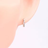 1 Paar Einfacher Stil Einfarbig Sterling Silber Ohrringe main image 4
