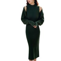 Femmes Robe Pull Décontractée Élégant Col Haut Manche Longue Couleur Unie Robe Mi-longue Du Quotidien Rue main image 4