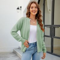 Women's Sweater Long Sleeve Sweaters & Cardigans Zipper Casual Solid Color sku image 4