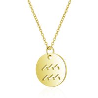 Stainless Steel Simple Style Polishing Constellation Pendant Necklace sku image 19