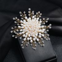 Elegant Simple Style Flower Artificial Crystal Imitation Pearl Alloy Unisex Brooches main image 3