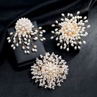 Elegant Simple Style Flower Artificial Crystal Imitation Pearl Alloy Unisex Brooches main image 1