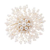 Elegant Simple Style Flower Artificial Crystal Imitation Pearl Alloy Unisex Brooches main image 6