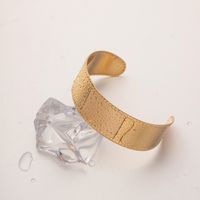Ig Style Solid Color Stainless Steel Plating 18k Gold Plated Bangle main image 4
