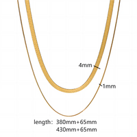 Edelstahl 304 Einfacher Stil Polieren Überzug Kreis Doppellagige Halsketten Halskette main image 4