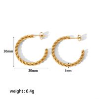 1 Pair Simple Style Circle Plating 304 Stainless Steel Hoop Earrings sku image 2