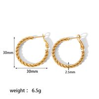 1 Pair Simple Style Circle Plating 304 Stainless Steel Hoop Earrings sku image 4