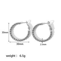 1 Pair Simple Style Circle Plating 304 Stainless Steel Hoop Earrings sku image 3