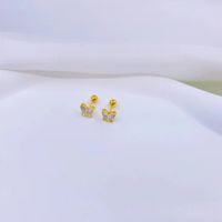 1 Par Estilo Simple Forma De Corazón Enchapado Acero Titanio Pendientes sku image 39