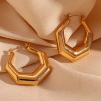 1 Pair Basic Simple Style Classic Style Geometric Plating Stainless Steel 18k Gold Plated Earrings main image 6