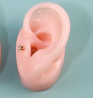 Casual Simple Style Ear Silica Gel Jewelry Display Jewelry Rack sku image 1