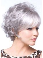 Women's Elegant Retro Holiday Street High Temperature Wire Side Fringe Short Curly Hair Wigs sku image 1