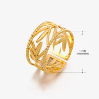Basic Classic Style Geometric Leaf Stainless Steel Plating Open Rings sku image 38