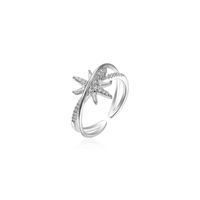 Style Simple Star Argent Sterling Incruster Zircon Anneaux main image 5