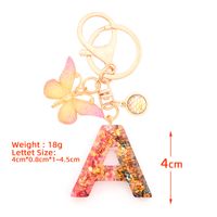 Retro Simple Style Letter Butterfly Resin Metal Women's Bag Pendant Keychain main image 5