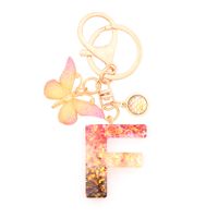 Retro Simple Style Letter Butterfly Resin Metal Women's Bag Pendant Keychain sku image 6
