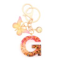 Retro Simple Style Letter Butterfly Resin Metal Women's Bag Pendant Keychain sku image 7