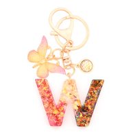 Retro Simple Style Letter Butterfly Resin Metal Women's Bag Pendant Keychain sku image 23