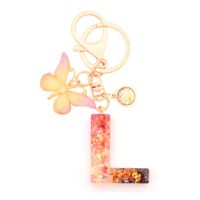 Retro Simple Style Letter Butterfly Resin Metal Women's Bag Pendant Keychain sku image 12