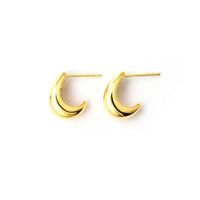 1 Paire Style Simple Lune Acier Inoxydable Boucles D'oreilles main image 3