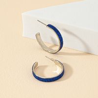 1 Pair Vintage Style Simple Style C Shape Plating Alloy White Gold Plated Ear Studs main image 4