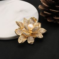 Elegant Retro Flower Alloy Plating Inlay Freshwater Pearl Women's Brooches 1 Piece sku image 21
