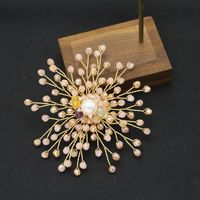 Elegante Retro Flor Aleación Enchapado Embutido Perlas De Agua Dulce Mujeres Broches 1 Pieza sku image 19