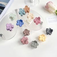 Simple Style Flower Resin Hair Claws main image 1