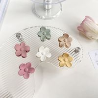 Simple Style Flower Resin Hair Claws main image 2