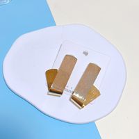 1 Paar Strassenmode Blatt Irregulär Metall Tropfenohrringe Ohrringe sku image 1