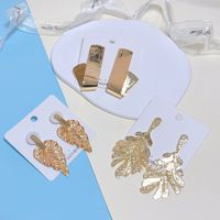 1 Pair Streetwear Leaf Irregular Metal Drop Earrings Earrings main image 2