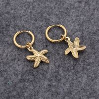 1 Pair Simple Style Classic Style Starfish Conch Shell Plating Stainless Steel 18K Gold Plated Earrings main image 5