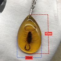 Vintage Style Insect Resin Unisex Keychain main image 3