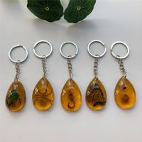 Vintage Style Insect Resin Unisex Keychain main image 2