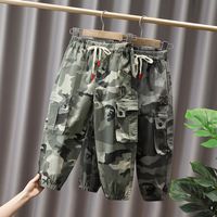 Casual Simple Style Camouflage Cotton Blend Boys Pants main image 7