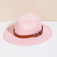 Unisex Basic Cowboy Style Solid Color Big Eaves Fedora Hat main image 9