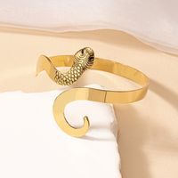 Gothique Rétro Style Cool Animal Serpent Alliage Placage Femmes Bracelet main image 7