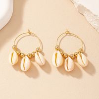 1 Pair Simple Style Shell Patchwork Alloy Drop Earrings main image 6