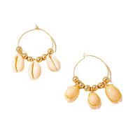 1 Pair Simple Style Shell Patchwork Alloy Drop Earrings main image 7